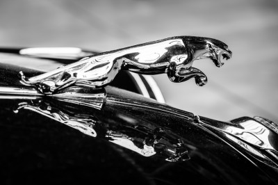 Assurez votre Jaguar au meilleur prix à Aix-En-Provence